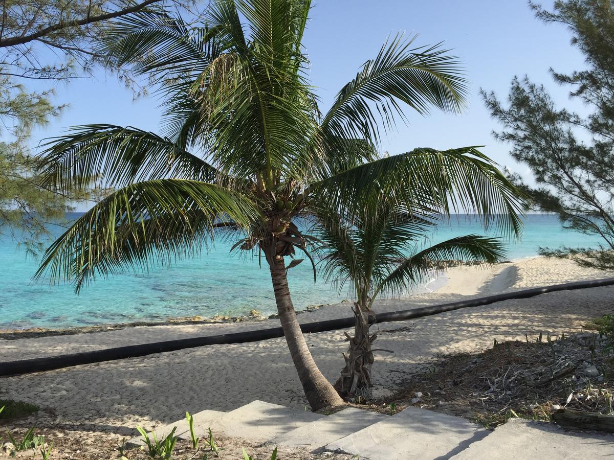 Bimini Seaside Villas - Pink Cottage With Beach View Alice Town  Extérieur photo