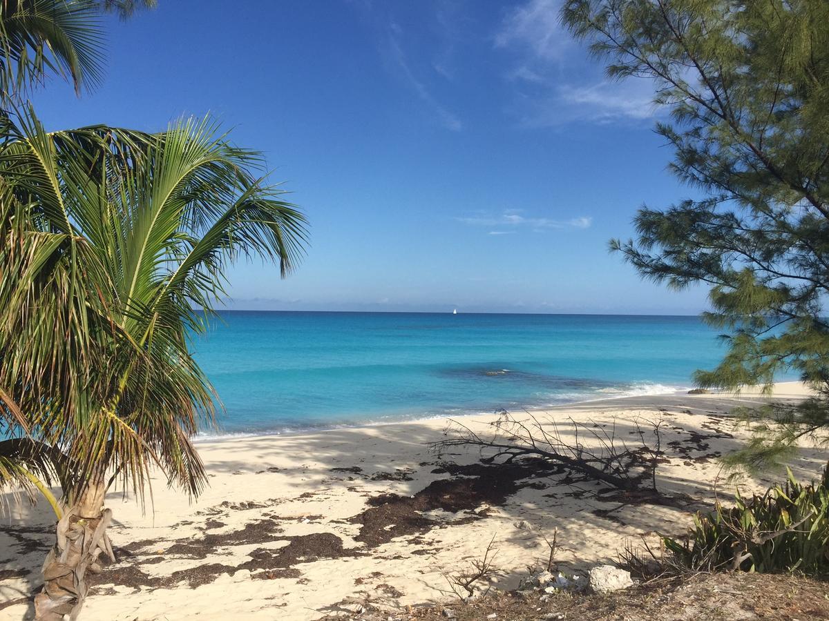 Bimini Seaside Villas - Pink Cottage With Beach View Alice Town  Extérieur photo